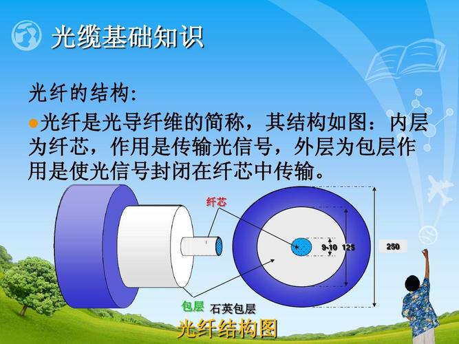 250 涂覆包层 包层 石英包层 光纤结构图