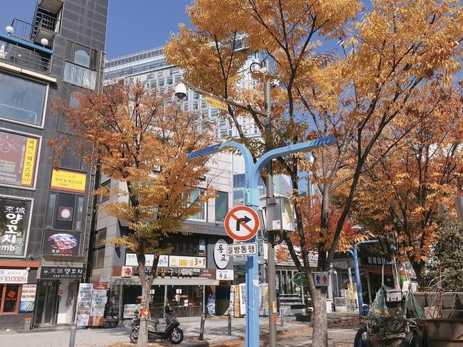 韩国最新报告:近30年来韩国主要经济指标赶超日本