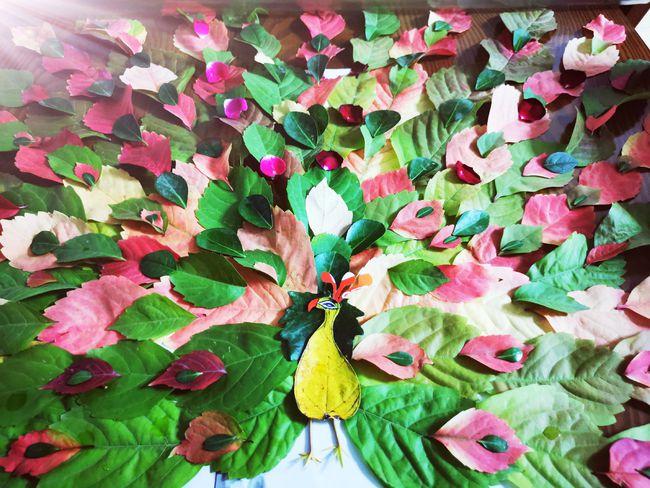 超大的孔雀开屏树叶画效果太惊艳还不学起来