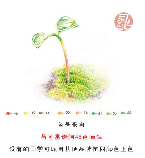 嫩芽破土而出探出一抹新绿.