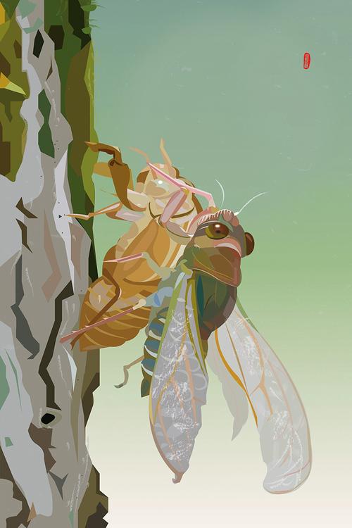 ai插画两幅-鸟和蝉