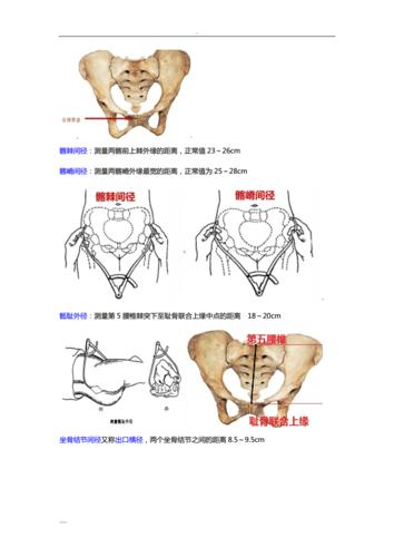 骨盆测量及记忆口诀.doc