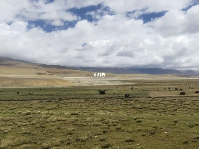 念青唐古拉山_唐古拉山_景点_念青唐古拉观景台自由行热门攻略_观景台