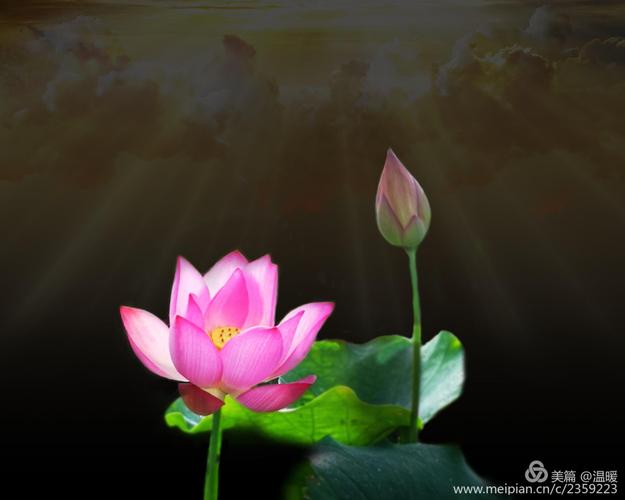 佛光普照