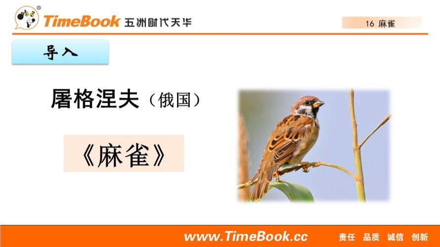 16 麻雀(配套课件)- 五四制语文四年级上册ppt课件.pptx