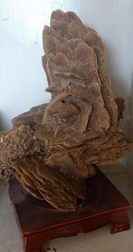 阿拉善沙漠玫瑰赏析