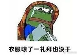 回南天表情包图片 吐槽回南天聊天表情2017最新