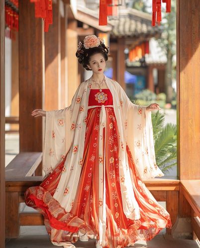 诃子唐制披帛服衫裙汉女图花仕袖簪风大唐风大汉服