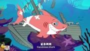 baby shark 鲨鱼宝宝的万圣节