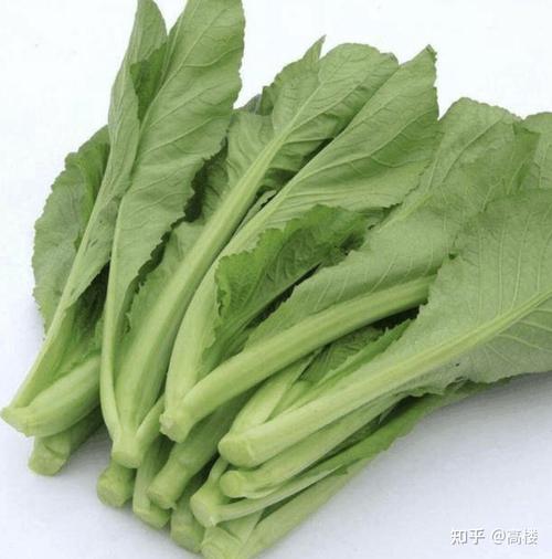 芥菜的食用方法有哪些