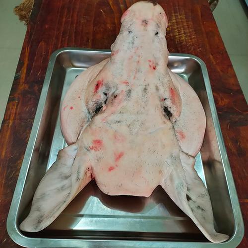 猪头骨肉原料头皮生猪农家生鲜肉猪黑猪15斤生猪肉