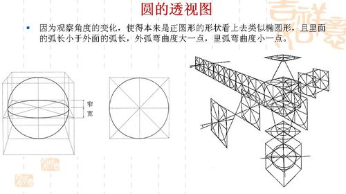 素描.圆的透视.谁能跟我讲一讲啊?