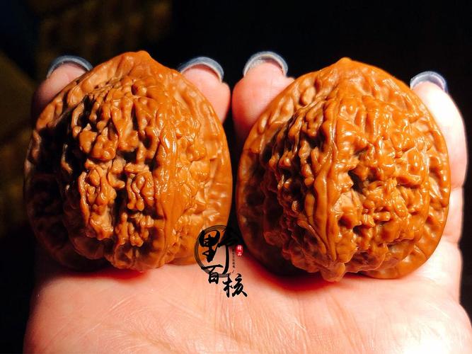 文玩核桃蚂蚁沟狮子头