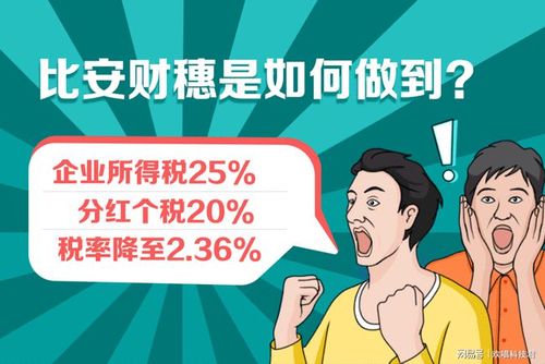 公司盈利的钱怎么给老板,老板提取利润怎么做账