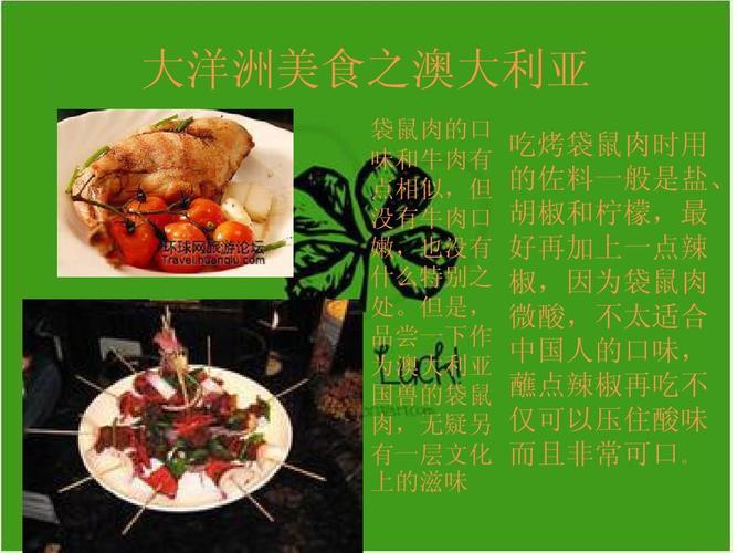大洋洲美食ppt