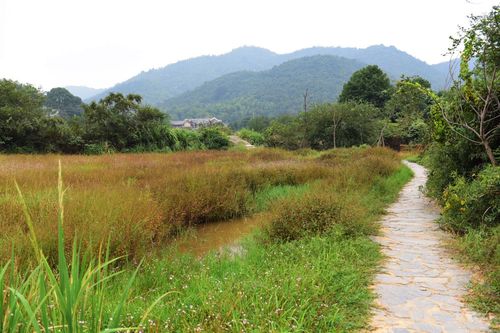 青山绿水——七星村