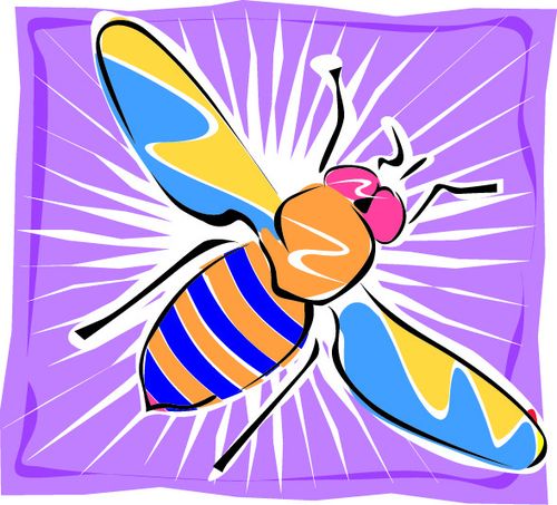 创意艺术动物昆虫矢量素材-苍蝇