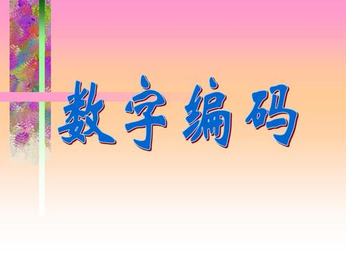 四年级上册补充内容——数字编码ppt课件