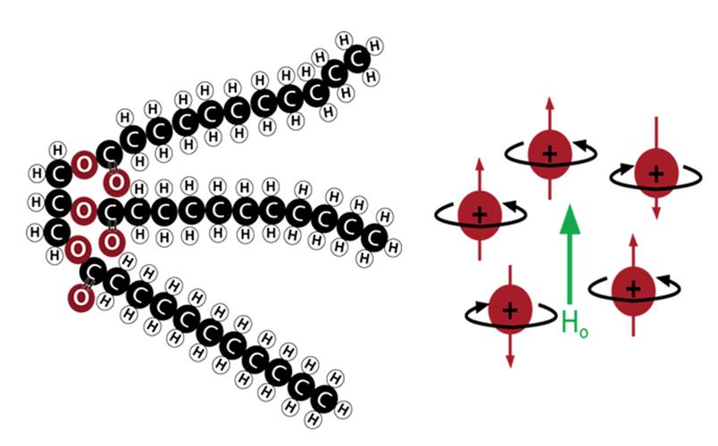 oracle直接测试脂肪分子中的氢核完全分离出样品中的脂肪氢核信号