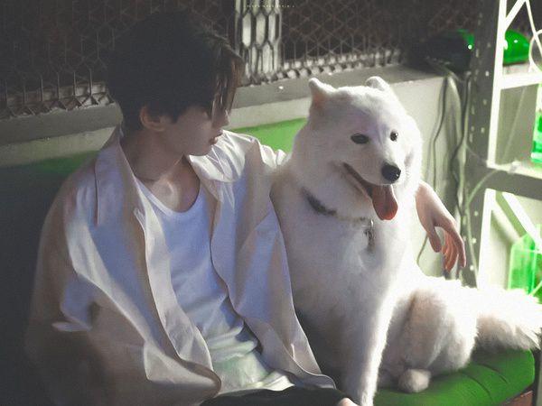 肖战的坚果超萌王源的火锅好乖鲁照华抱着别人家的猫不撒手