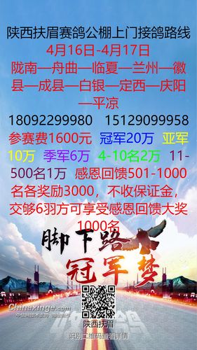 陕西扶眉赛鸽公棚接鸽路线