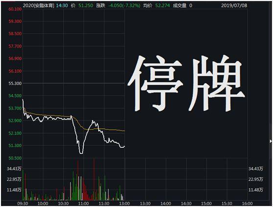 安踏体育再遭沽空狙击,股价大跌7%紧急停牌 公司这样回应_报告