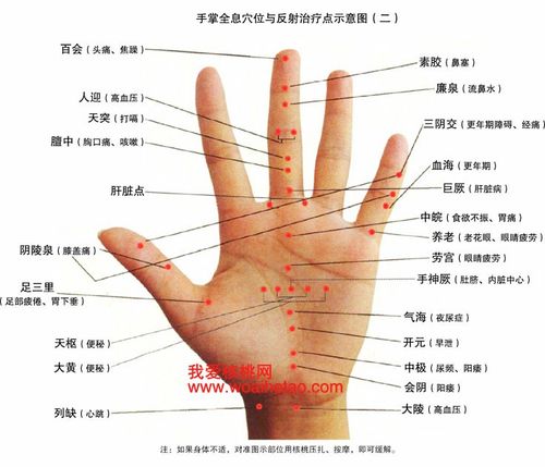 传统手针手穴位图