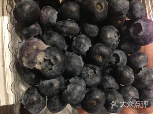 发霉的蓝莓