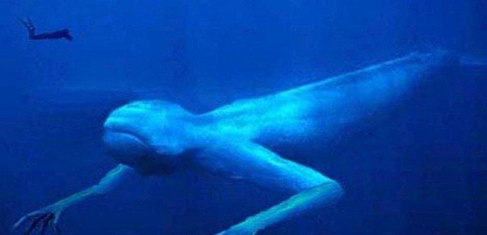 原来人类如此强大那些或人造的恐怖生物