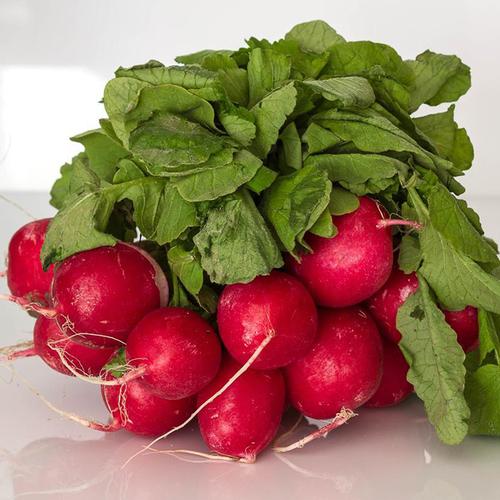 农家自种新鲜蔬菜水萝卜无农药绿色红皮白肉萝卜现拔小红萝卜