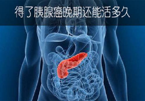 使胰腺分泌消化液的功能遭到破坏,进入胃肠的食物不能得到正常的消化