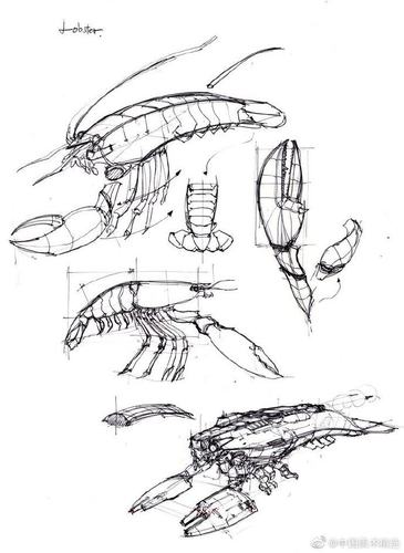 【美术】神奇的仿生学