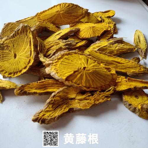 中药材黄藤根/黄藤根的功效与作用