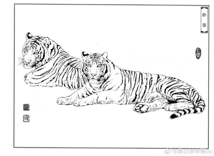 给我留言说想要一些动物类的白描,那我刚好找到了一些白描老虎素材,又