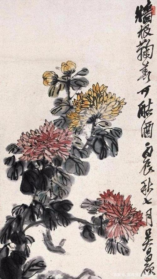 吴昌硕笔下的菊花,线条凝练遒劲,刚柔并济!