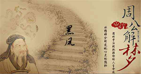 梦见黑凤