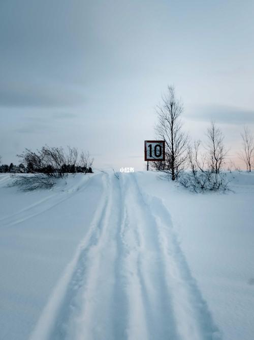 和【雪】有关的温暖文字～_冬天去哪玩_风景_雪碧怎么