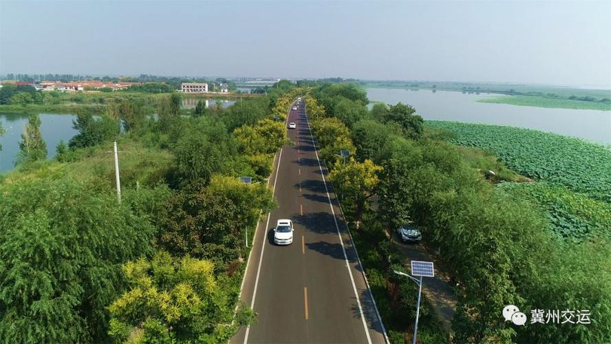 衡水这条路被省里夸赞!航拍照曝光,真美!_大道
