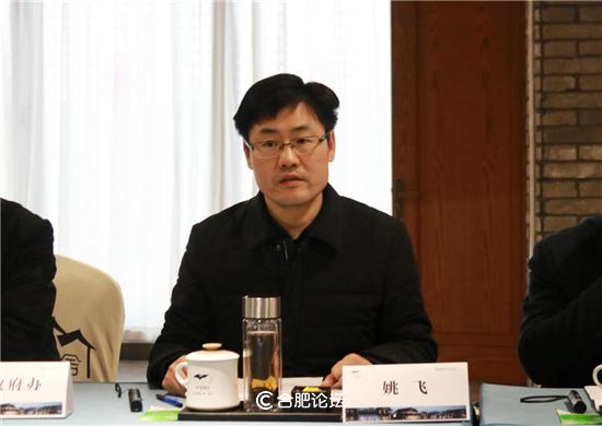 肥东县委副书记,县长姚飞莅临江淮侨乡六家畈召开现场