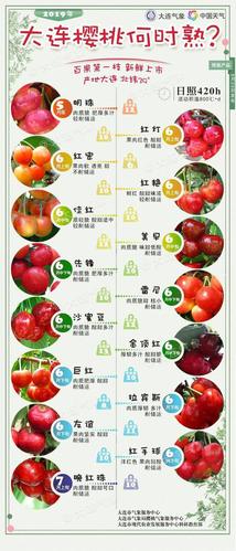 2019年大樱桃成熟上市期预报新鲜出炉