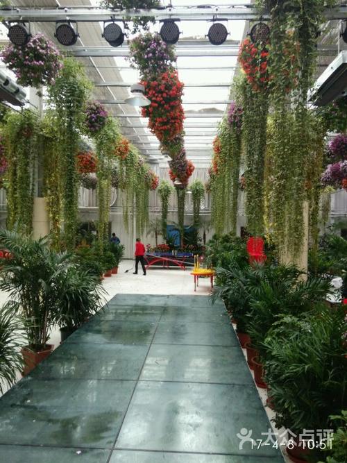 海之林生态酒店-图片-兰州酒店-大众点评网