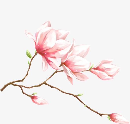 粉色唯美水彩桃花免抠素材免费下载_觅元素51yuansu.
