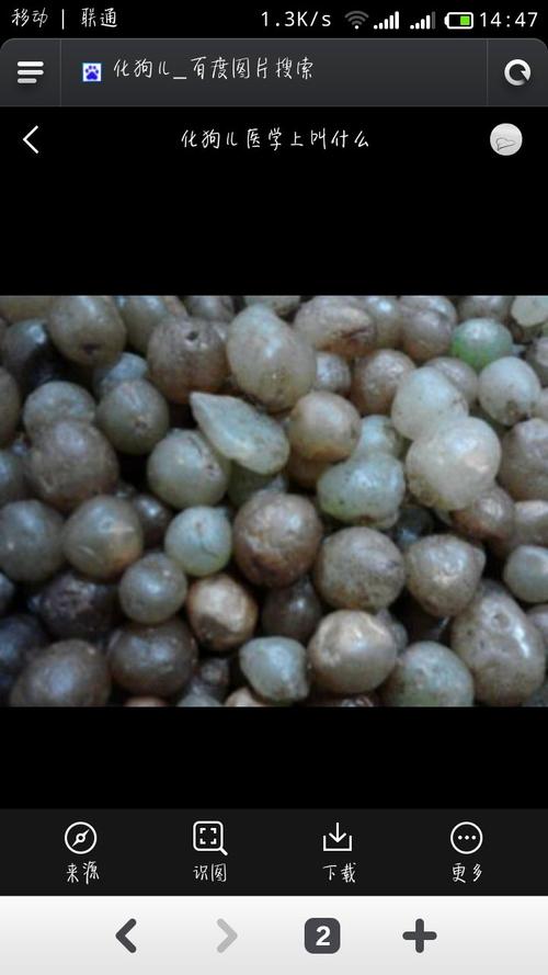 这是什么中药,重庆这边有些就叫化狗儿.求大神告诉书名.