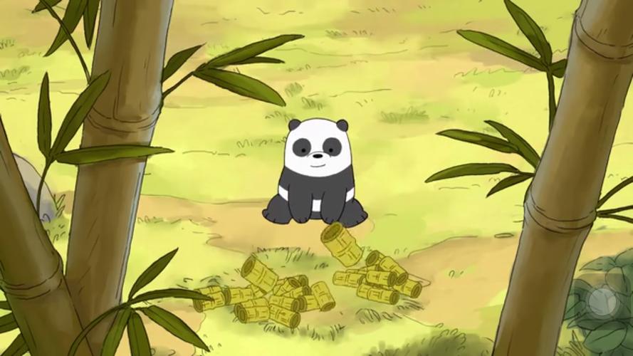 panda(胖达)小时候生活在动物园