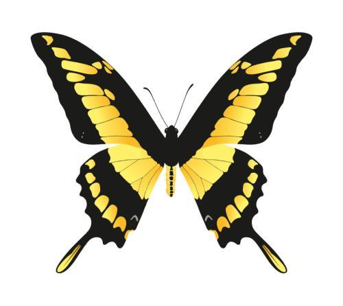 描写蝴蝶的句子描写蝴蝶飞舞的句子