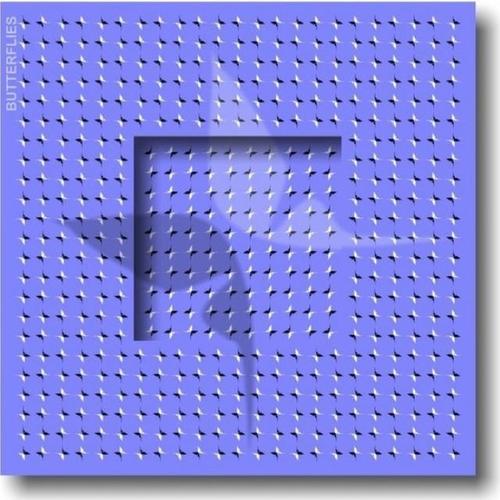 神奇:一组考验你眼力的错觉图片,看完头晕!