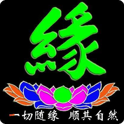 随缘图片