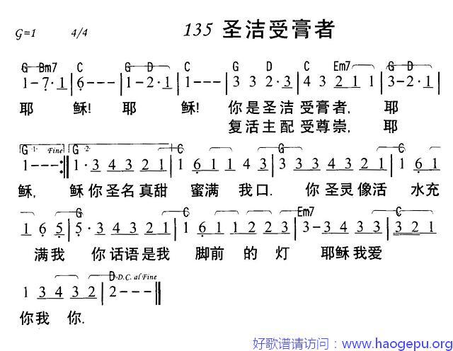 圣洁受膏者