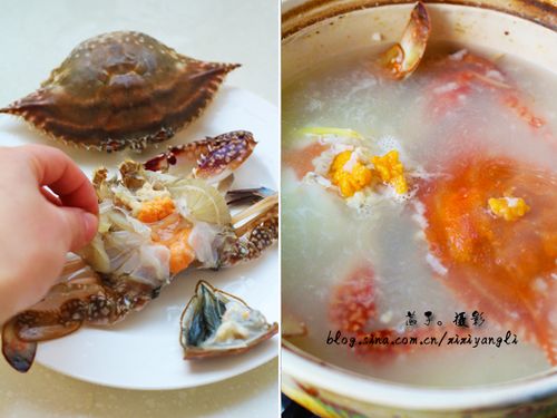 老饕们绝不能错过的金秋珍馐海中黄金粥蜚声在外澳门水蟹粥