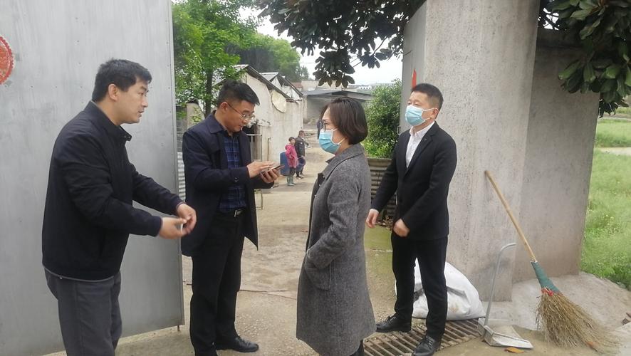 徽州区委书记张伟同志现场调研畜禽养殖整治工作